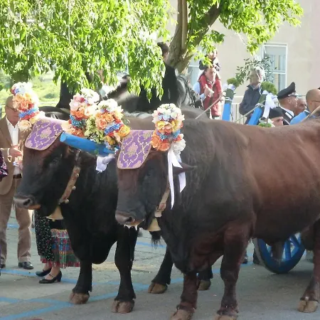 Casa Via Mare * Posada (Sardinia)